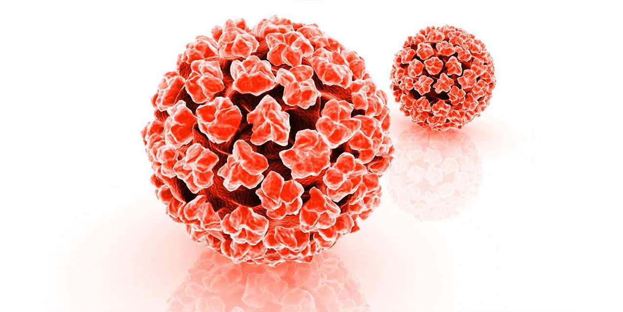 The danger of the human papillomavirus