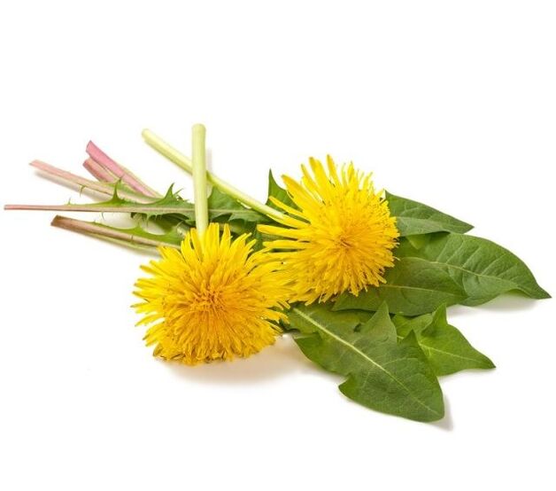 Dandelions for cauterization of papillomas.